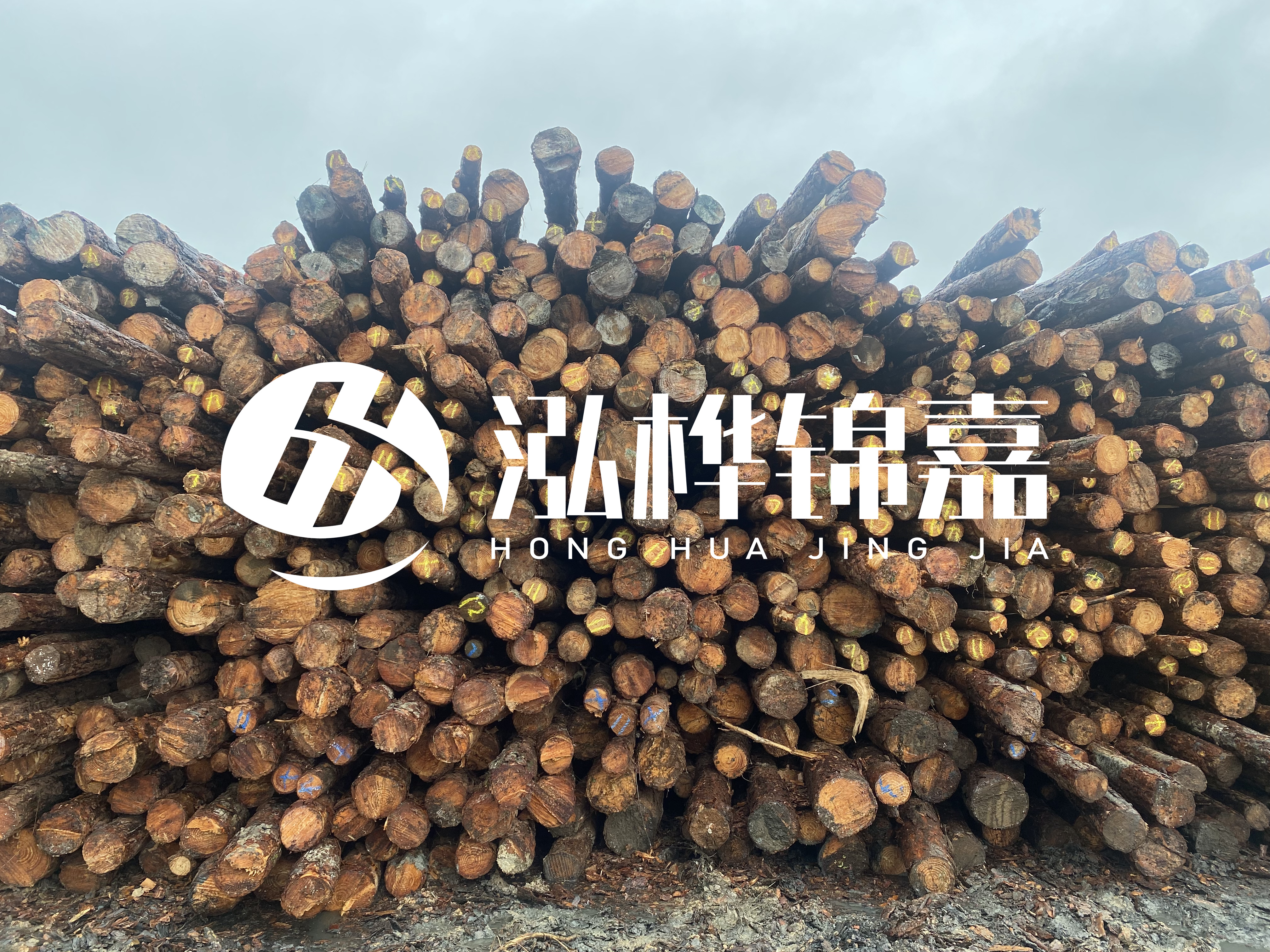 松木樁的直徑一般取多少？