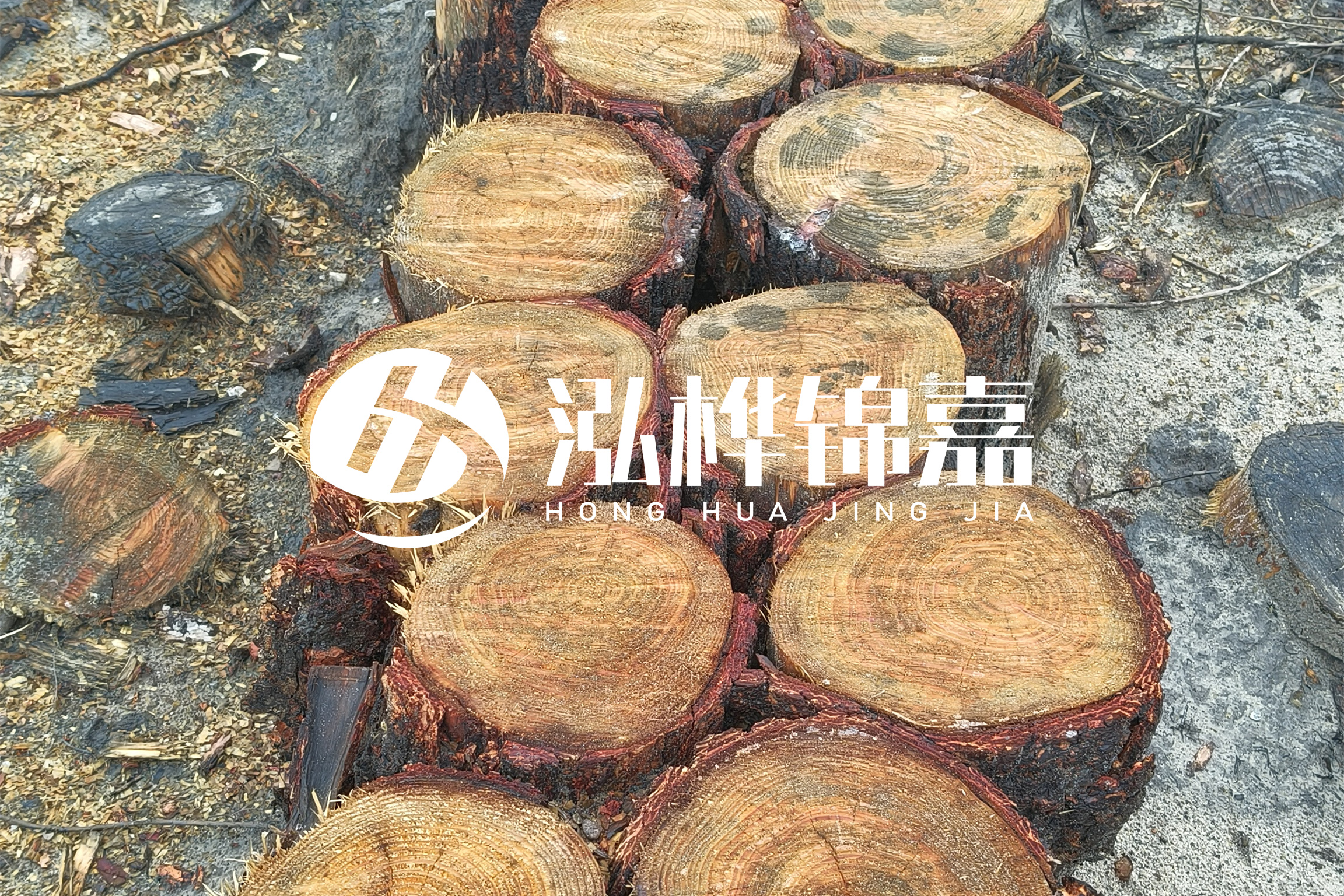 浙江臺州有清淤的公司嗎？浙江臺州有清淤施工隊嗎？