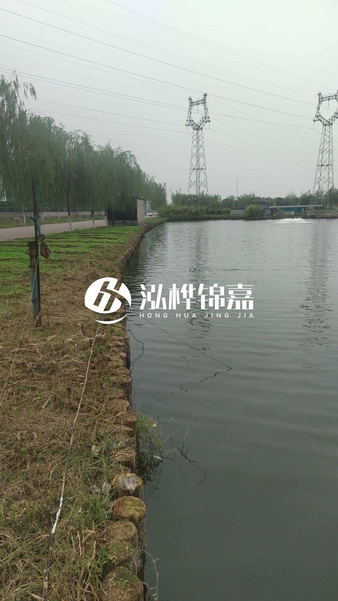 臺州挖機(jī)打木樁專業(yè)施工-松木樁打樁木的密度對打樁效果有影響嗎？