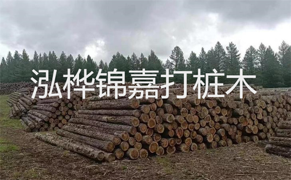 選擇紅磚護(hù)坡，打造獨(dú)特的美麗景觀