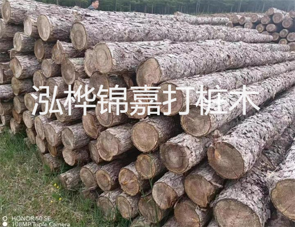 高效修補(bǔ)，保駕護(hù)航！水泥路面高強(qiáng)度修補(bǔ)料為您解決煩惱！