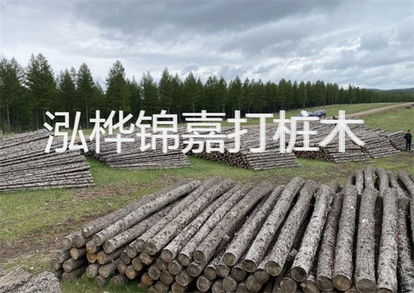 鋼結(jié)構(gòu)施工方案大全免費(fèi)提供，助力工程建設(shè)