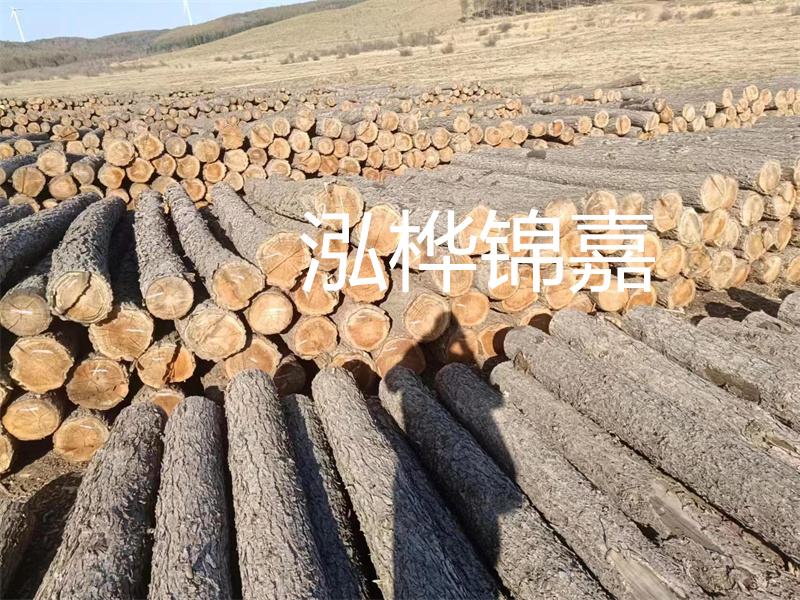 選擇合適的路緣石尺寸，打造美麗道路